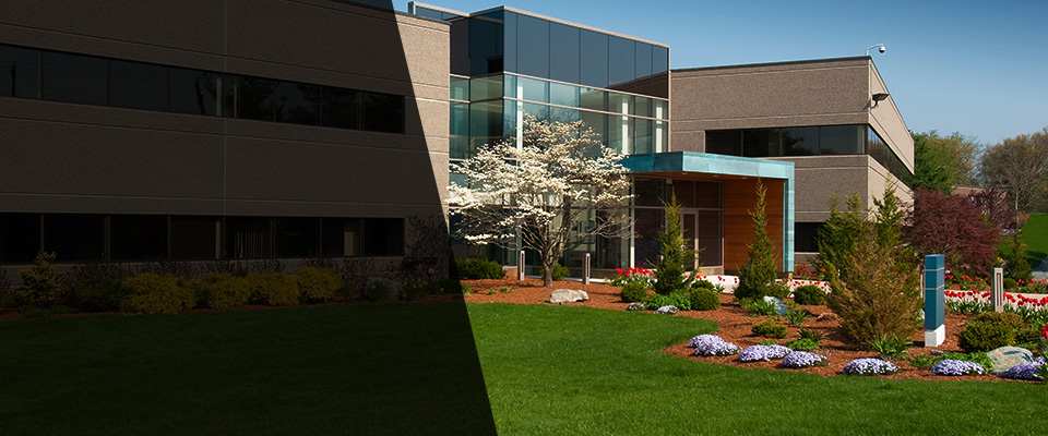 Ponte Vedra Landscapers