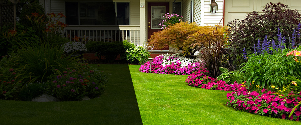 Ponte Vedra Landscapers